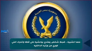 عصا خشبية.. ضبط شخص يعتدي بوحشية على قطة وتحرك أمني فوري من وزارة الداخلية
